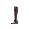 Ali MacGraw Sleek Boot 2 Ali MacGraw Sleek Boot